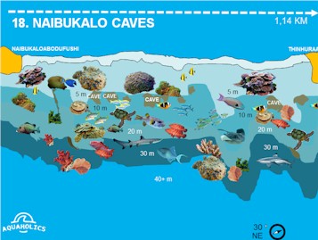 Naibukalo Caves